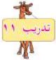 تدريب 11